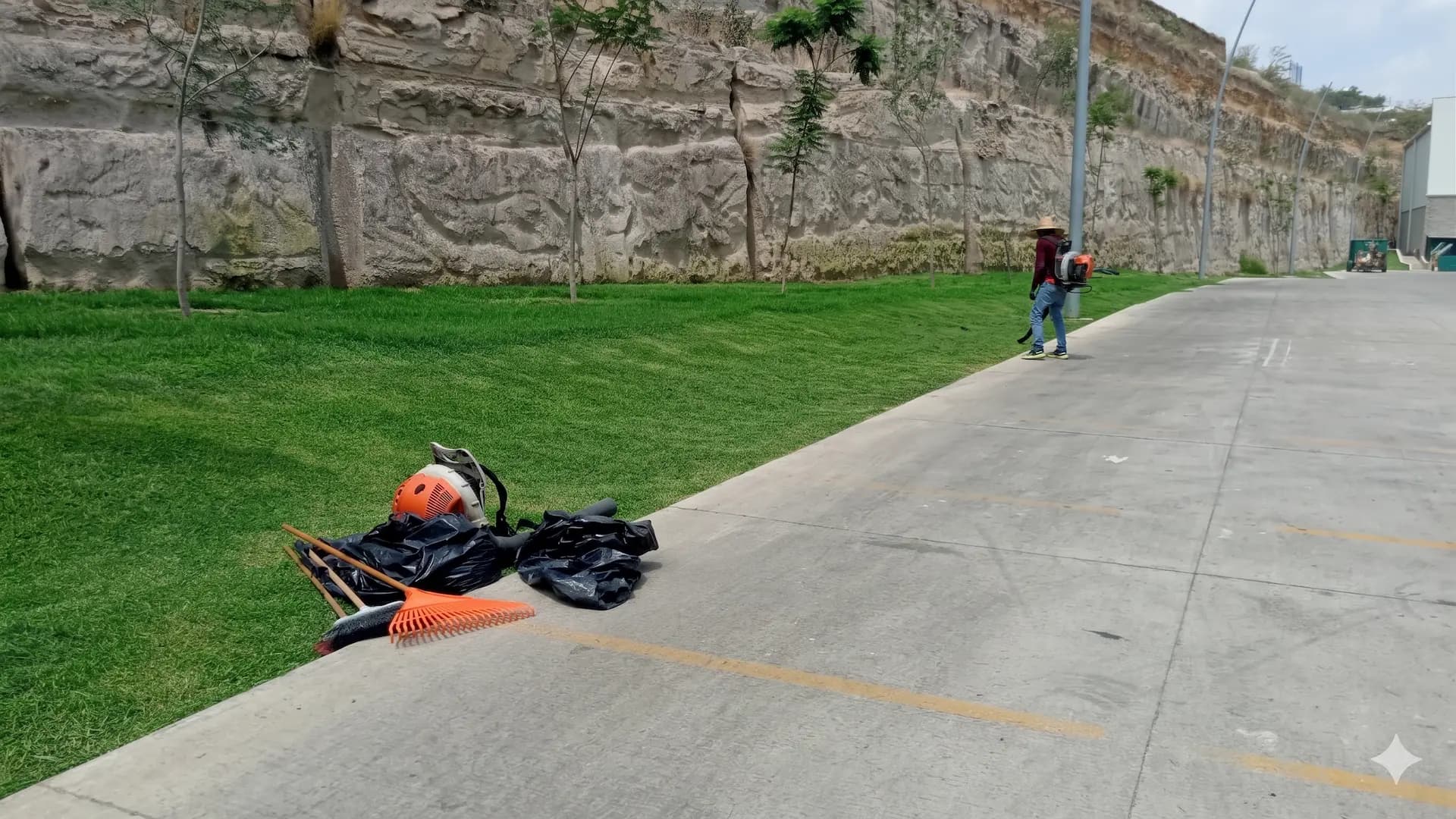 Proyecto de jardinería Tuutu
